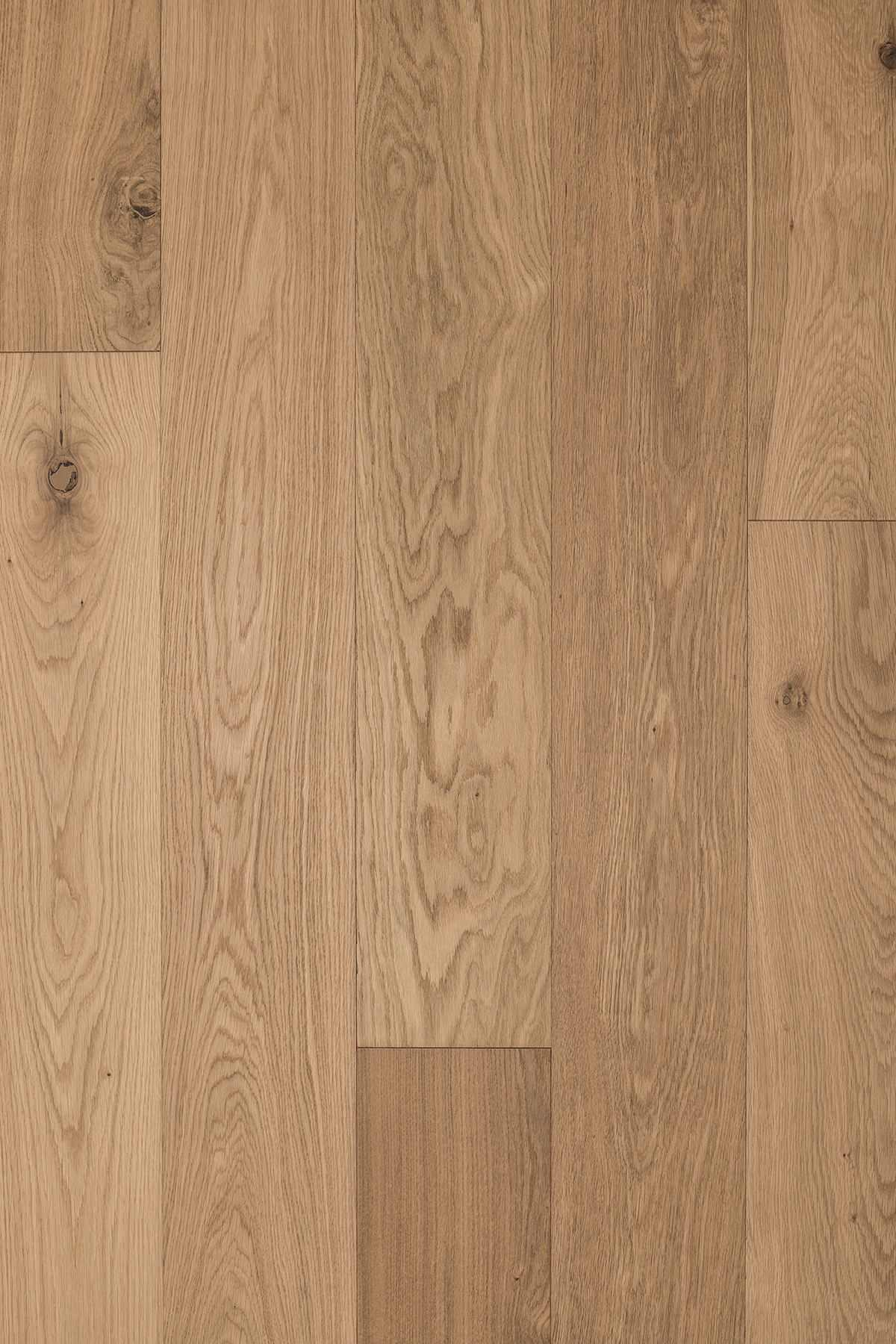 Supernatural Oak