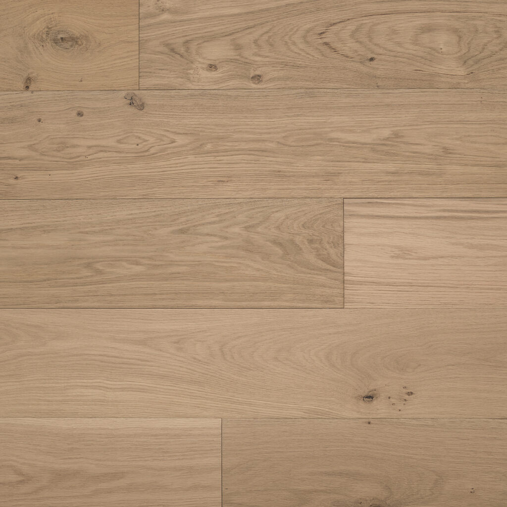 European Oak