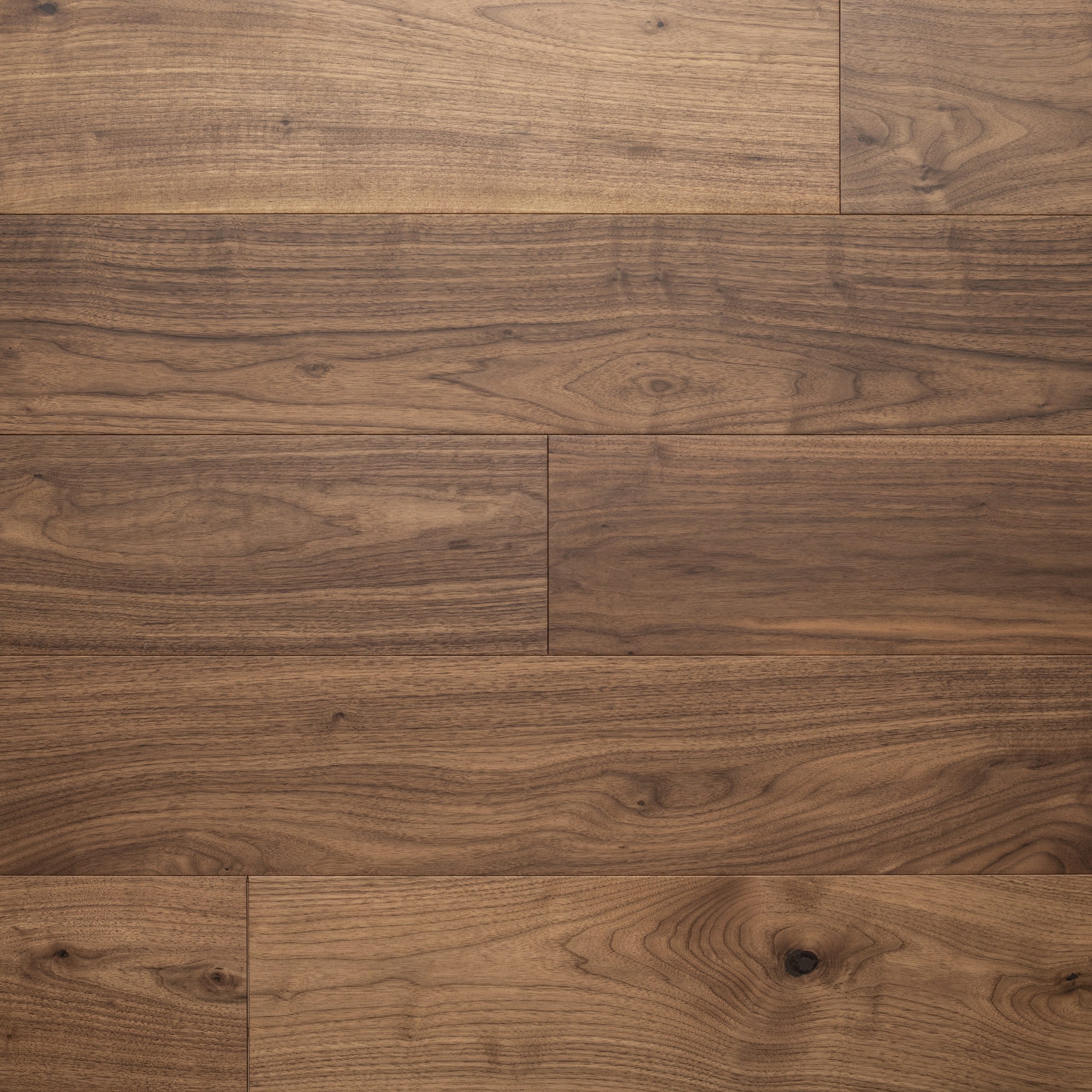 American Walnut