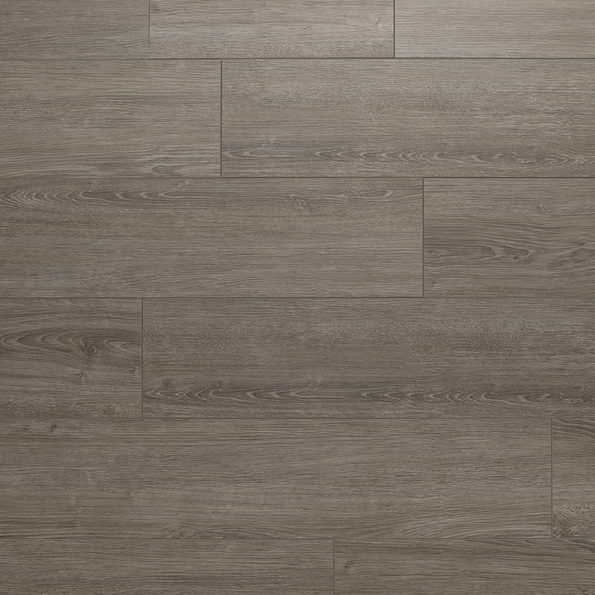 Pacific Grey